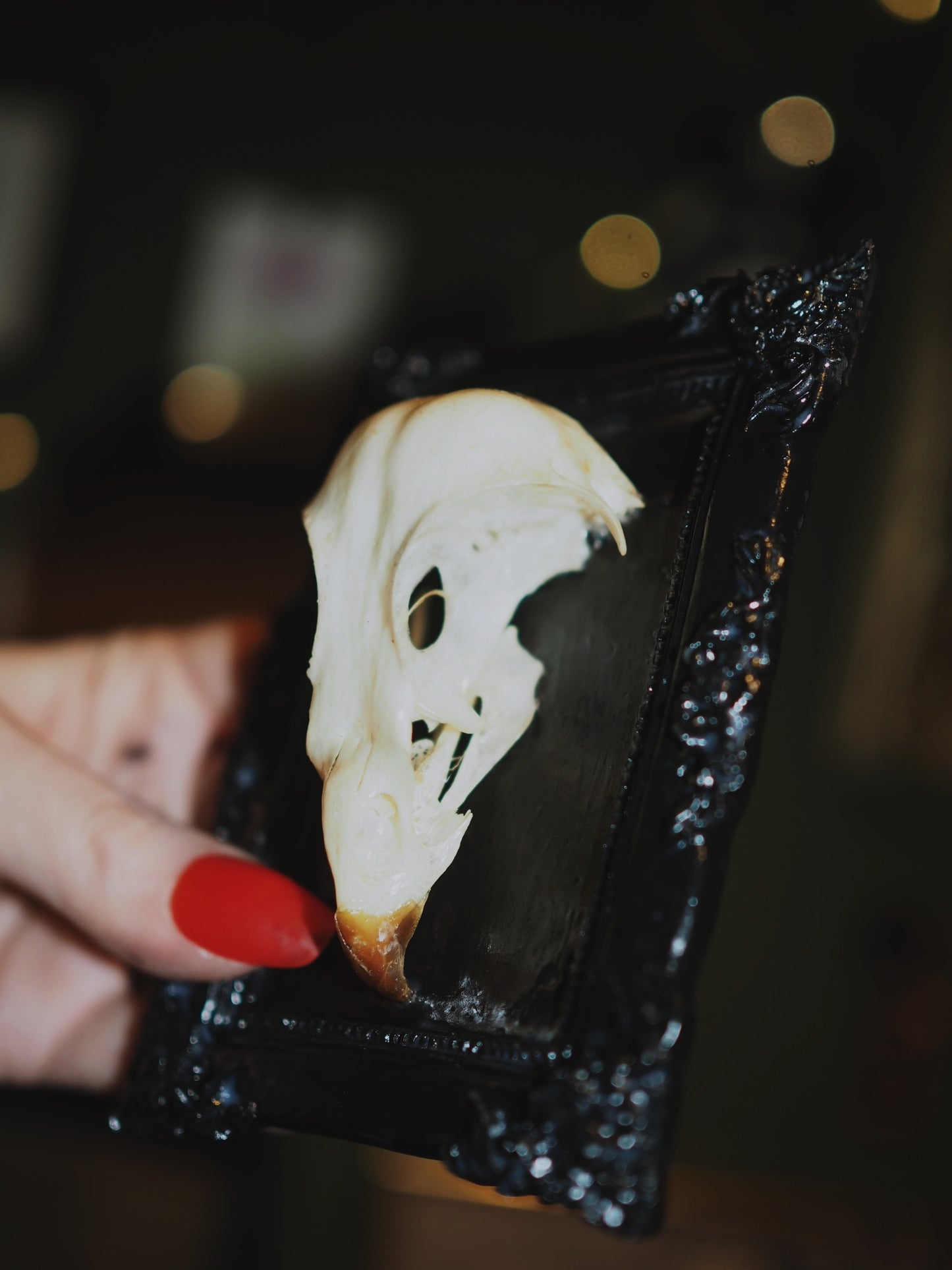 Baroque frame "BIRD"