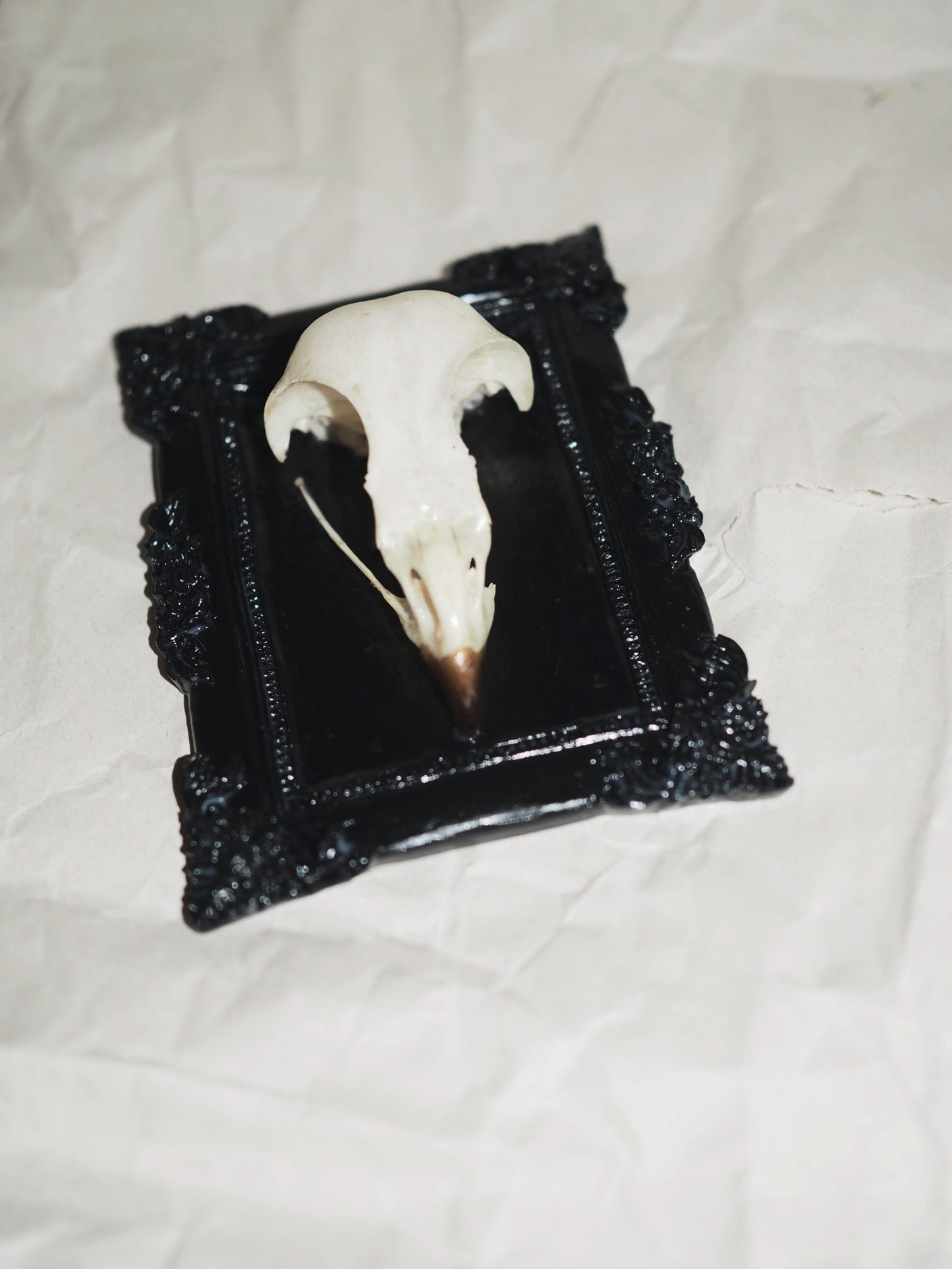 Baroque frame "BIRD"