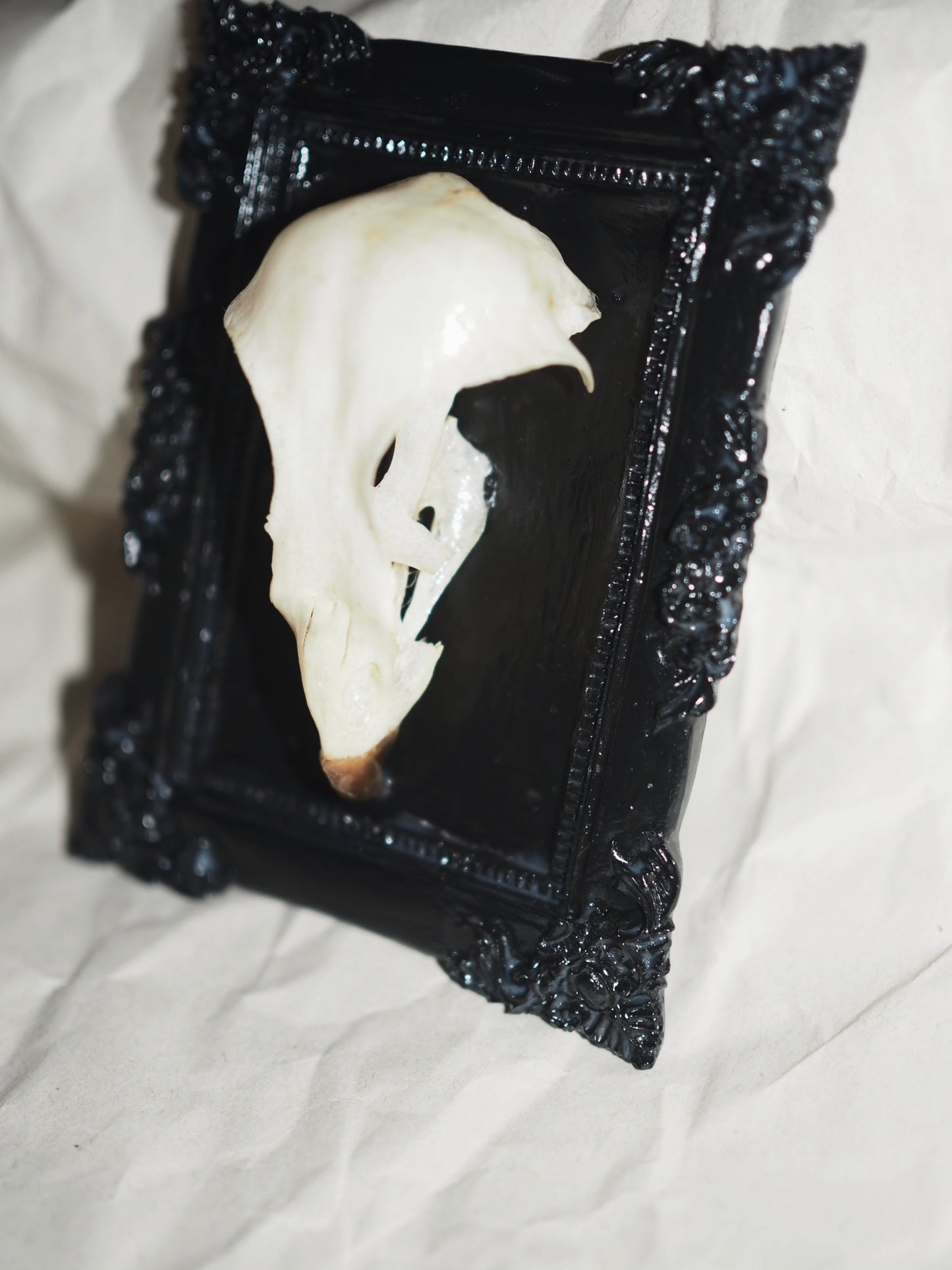 Baroque frame "BIRD"