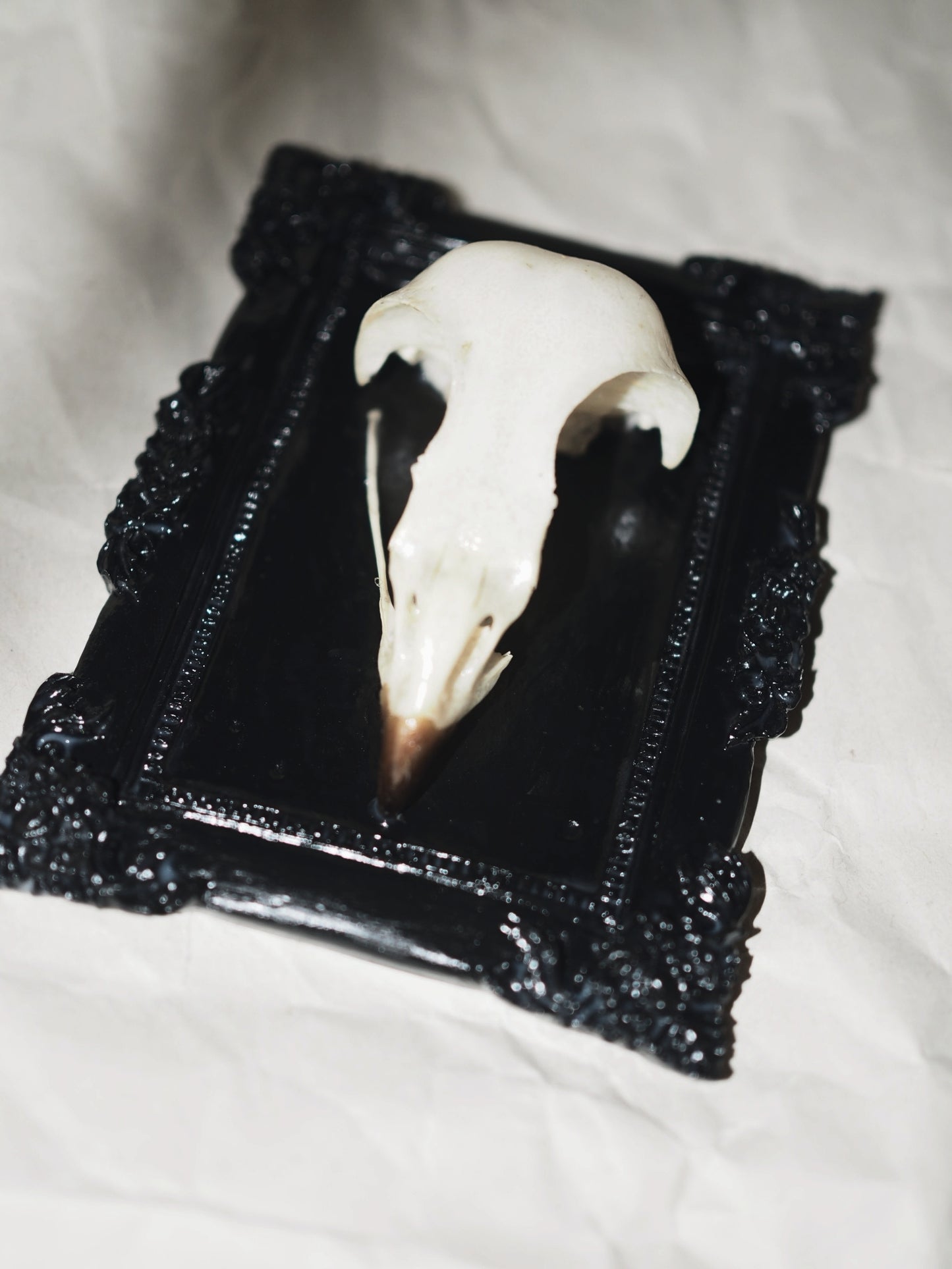 Baroque frame "BIRD"