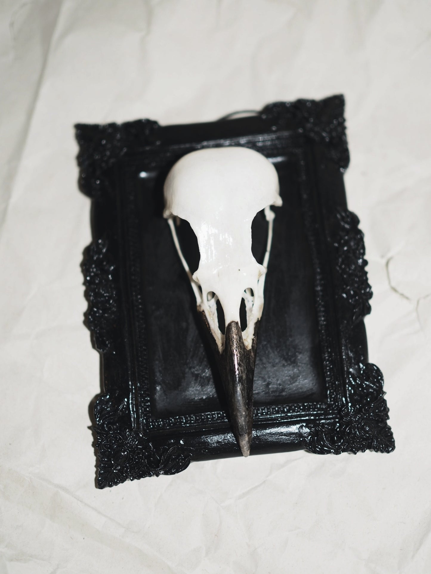 Baroque frame "RAVEN"