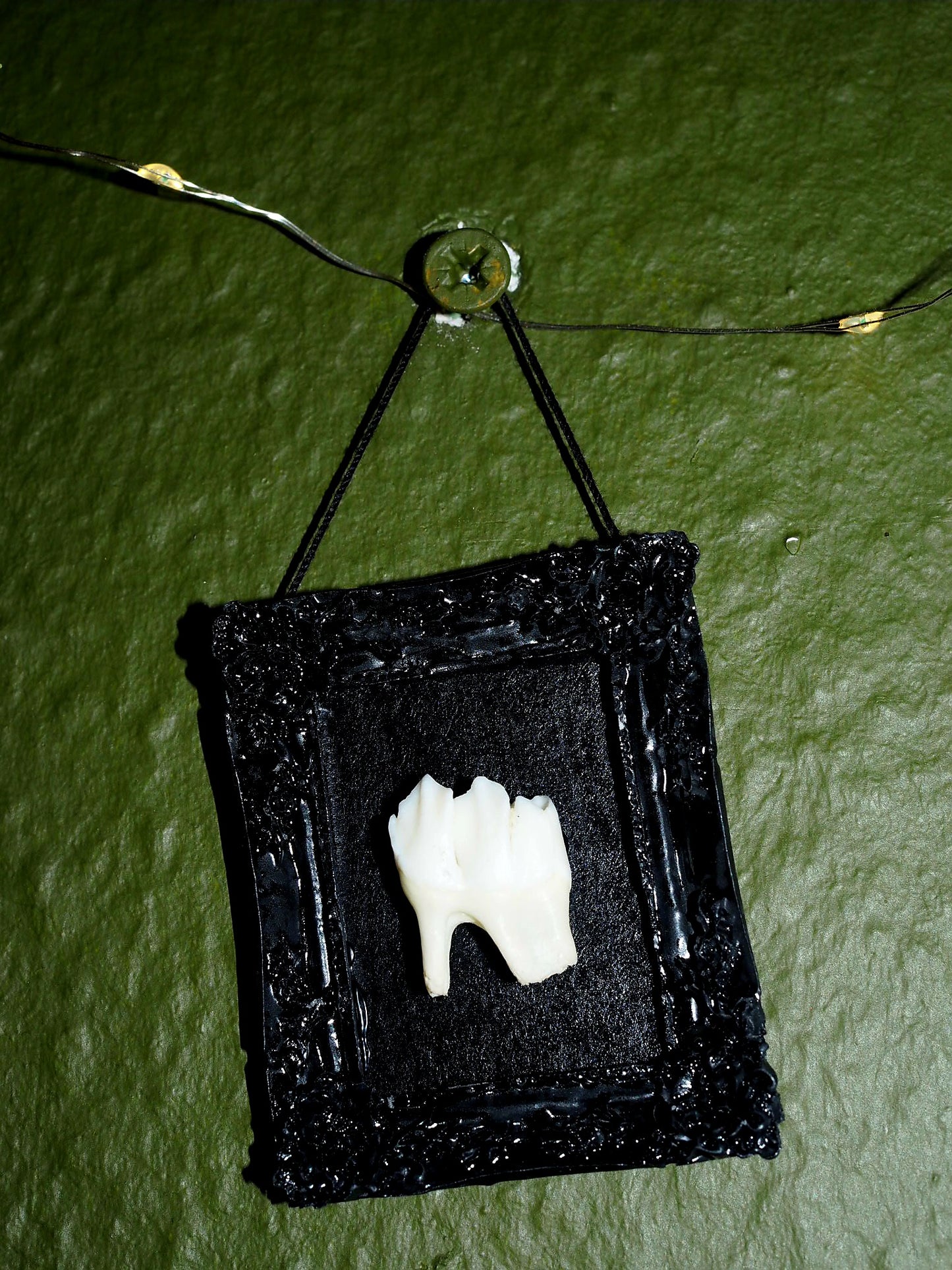 Reliquary I – Bone in Black Baroque Frame