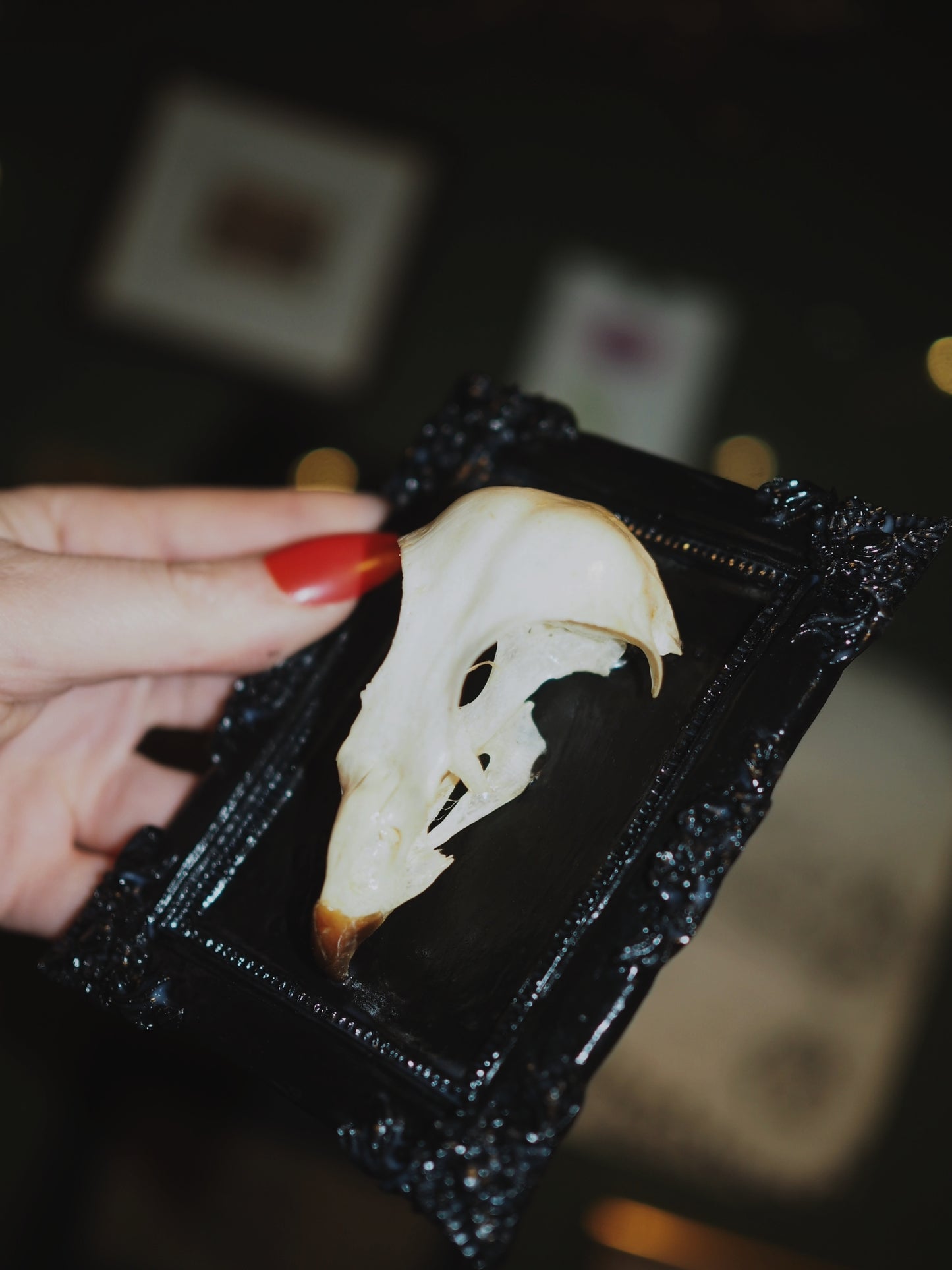 Baroque frame "BIRD"