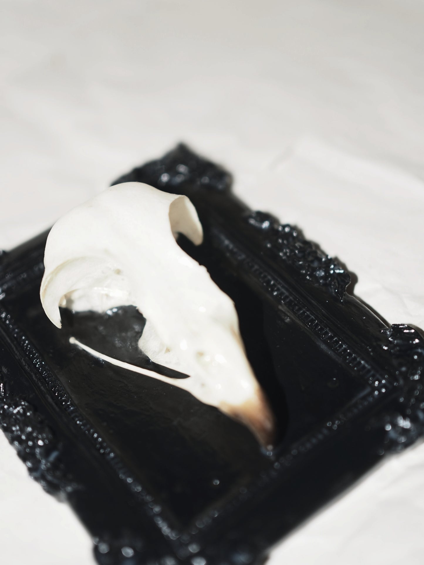 Baroque frame "BIRD"