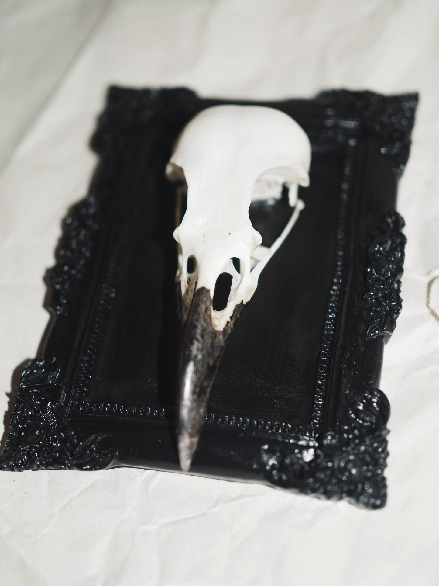 Baroque frame "RAVEN"