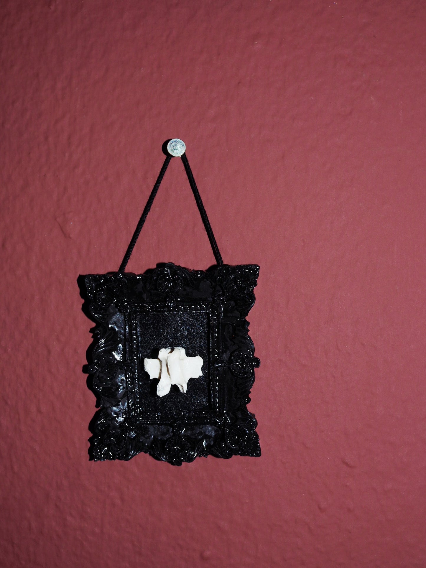 Reliquary I – Bone in Black Baroque Frame