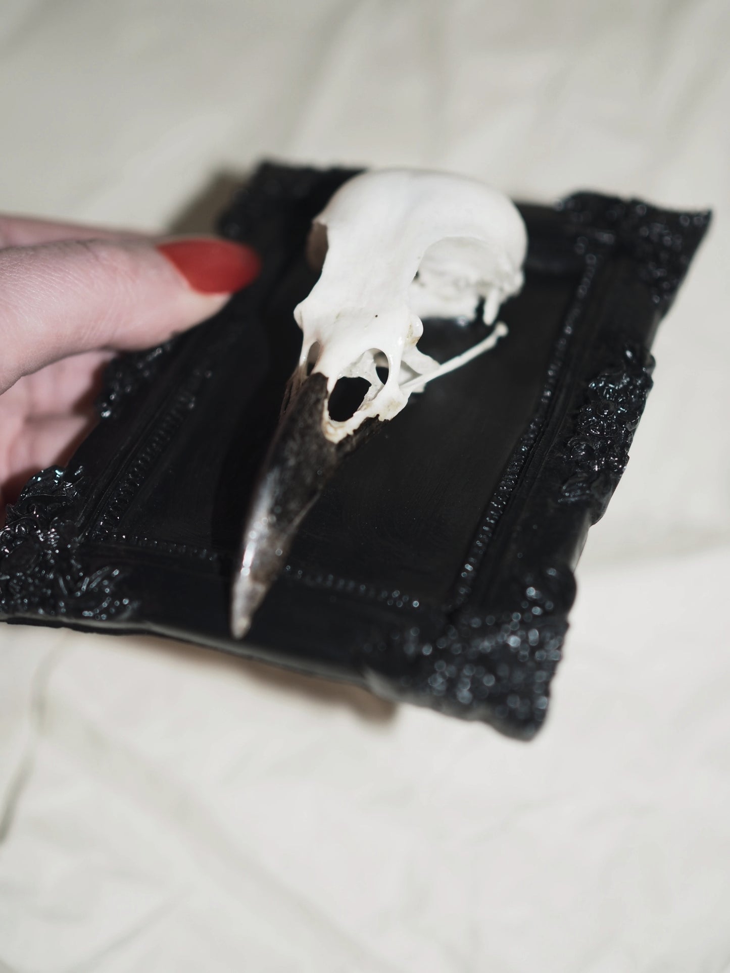 Baroque frame "RAVEN"