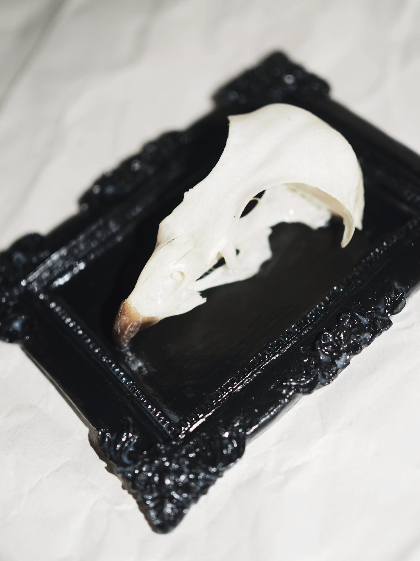 Baroque frame "BIRD"