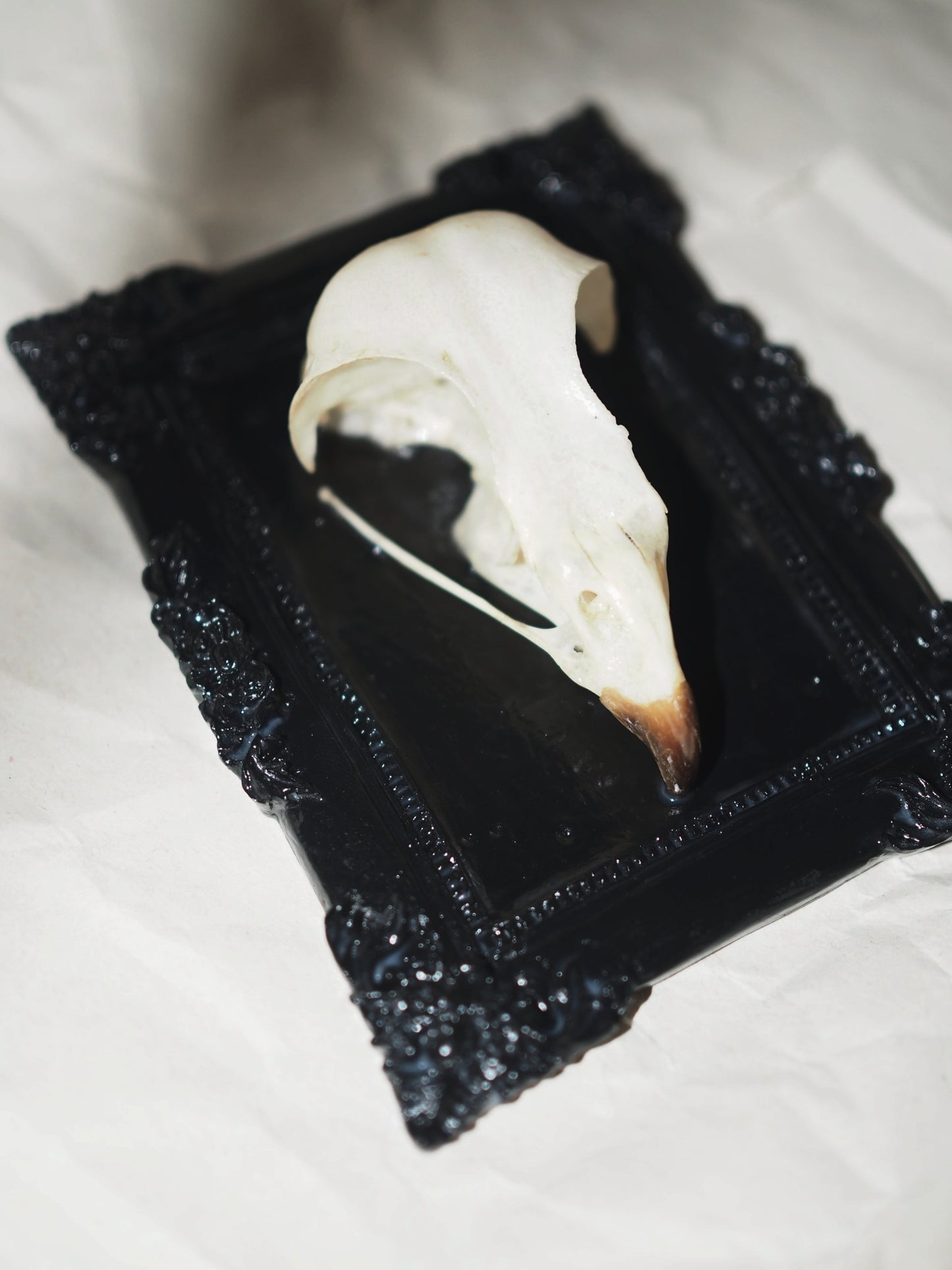 Baroque frame "BIRD"