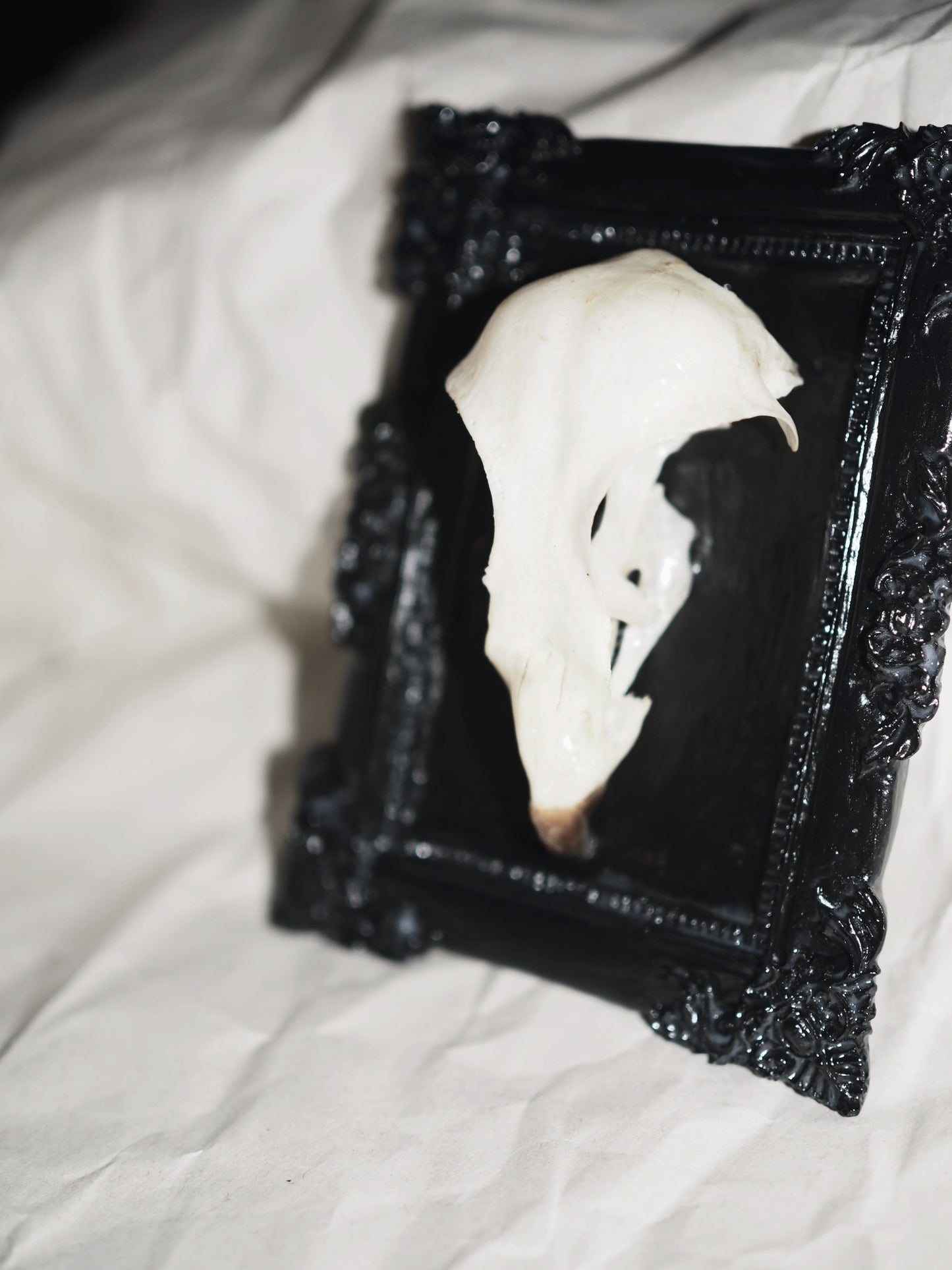 Baroque frame "BIRD"