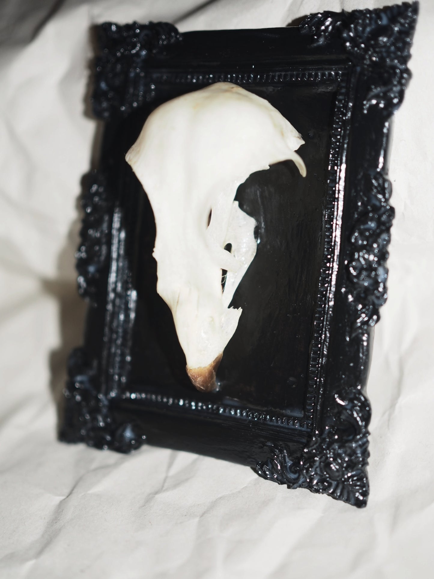 Baroque frame "BIRD"