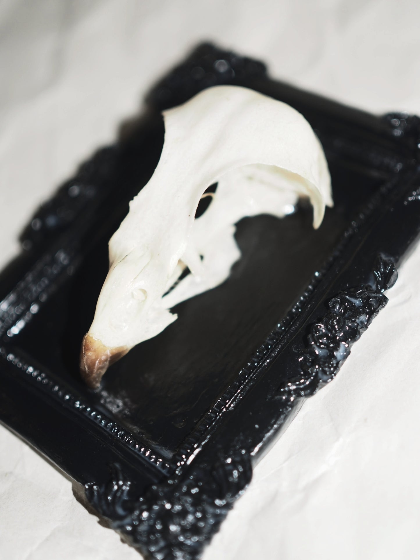 Baroque frame "BIRD"