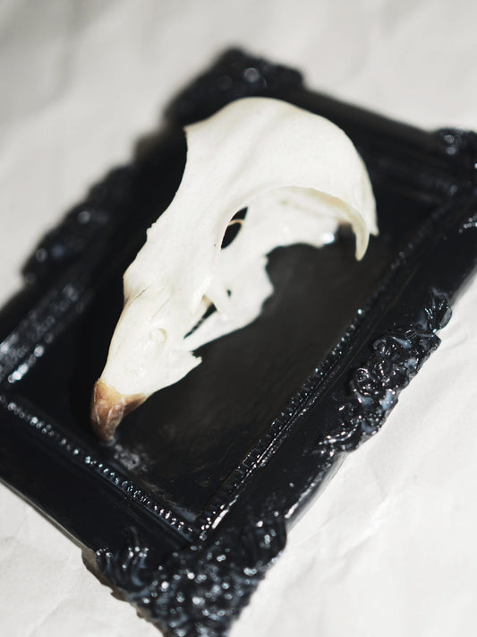 Baroque frame "BIRD"