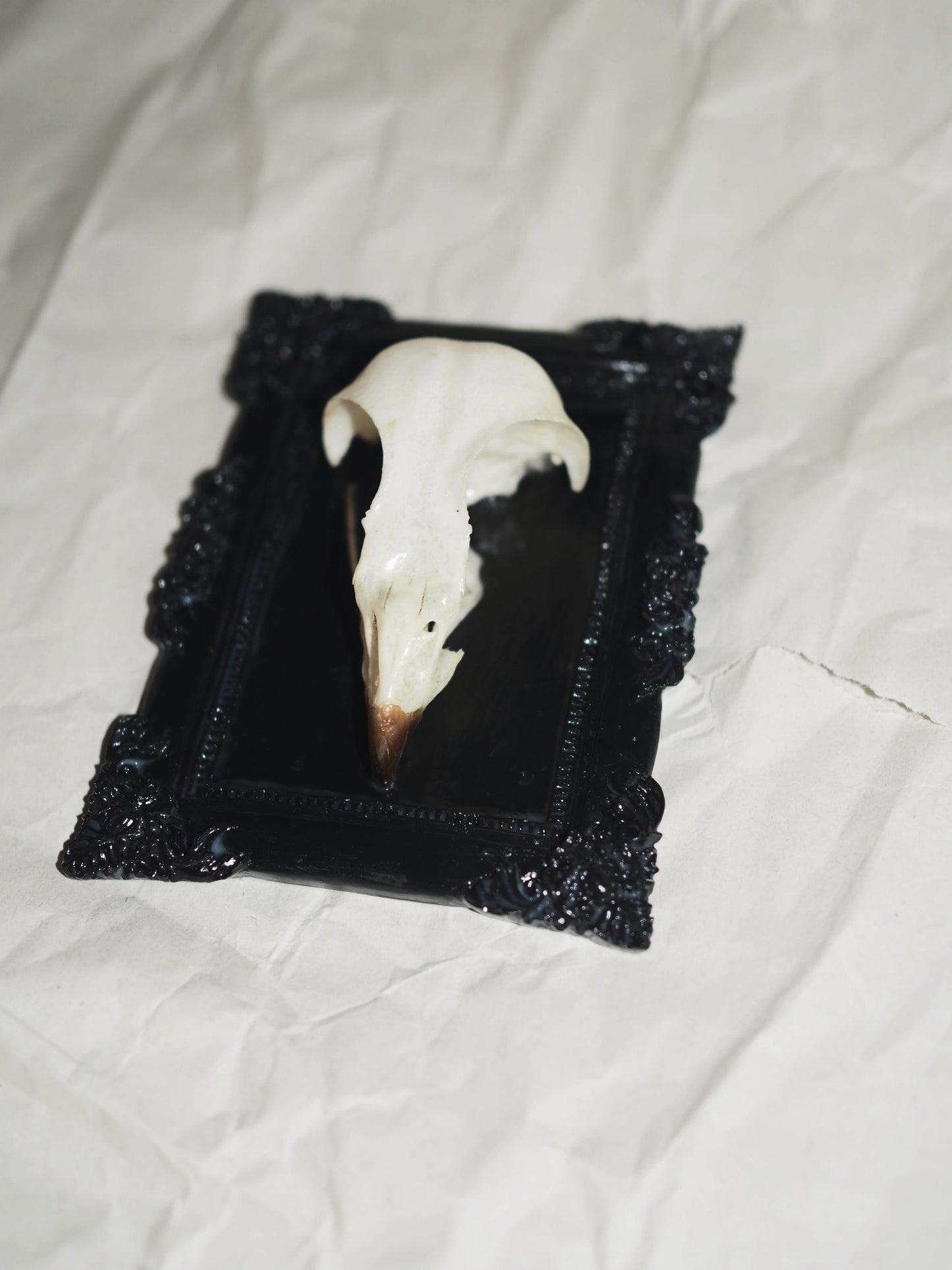 Baroque frame "BIRD"