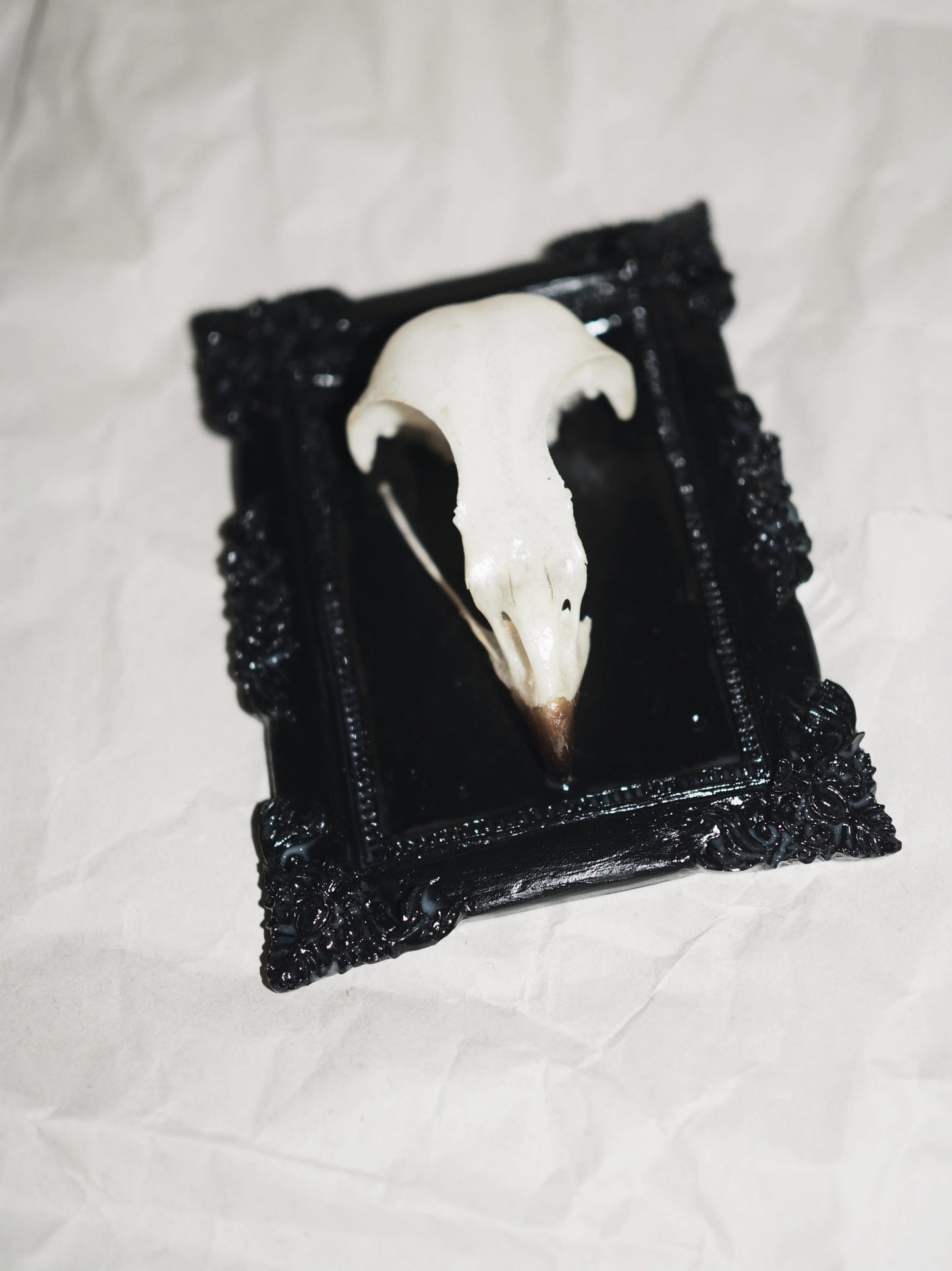 Baroque frame "BIRD"