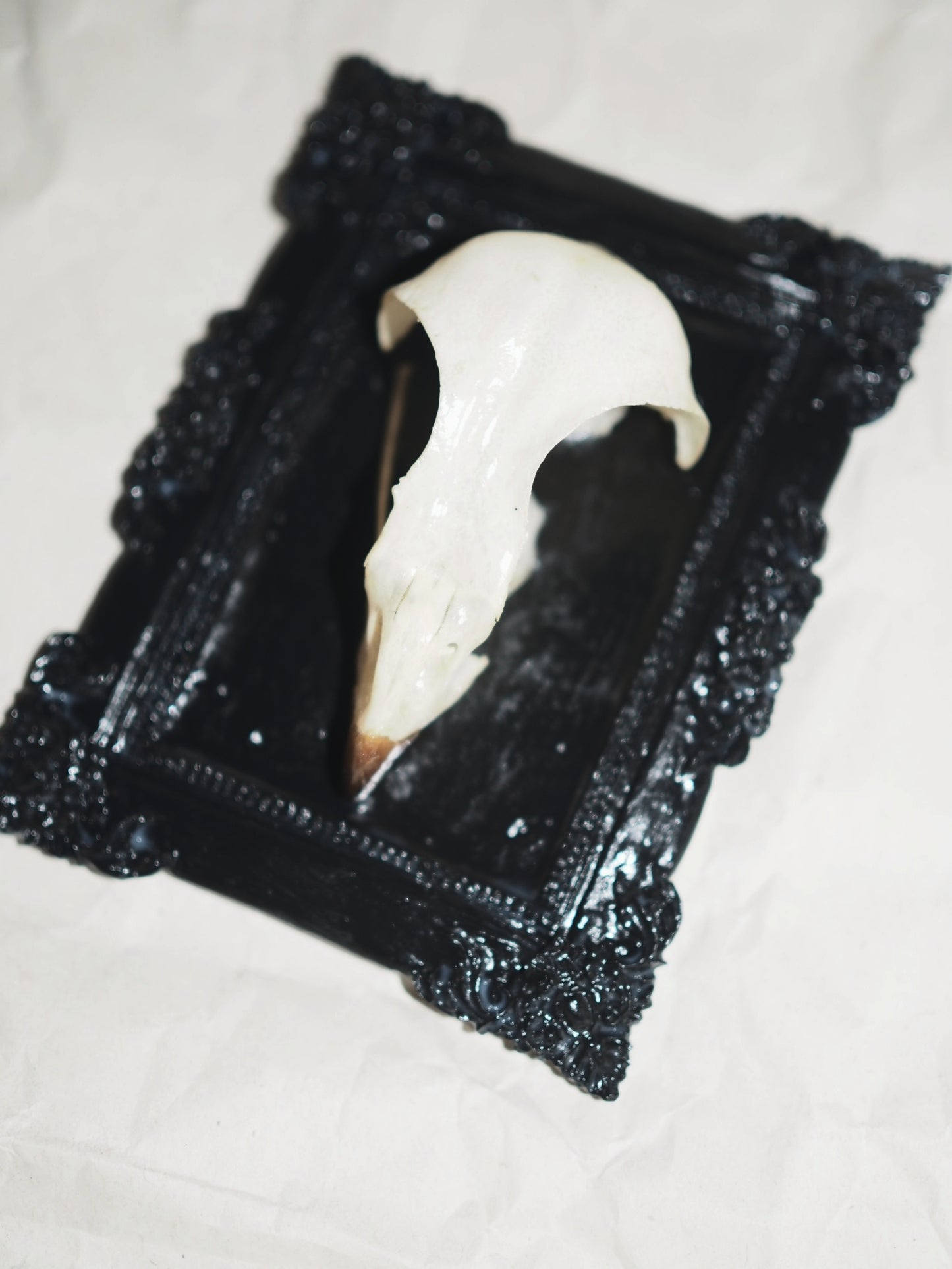 Baroque frame "BIRD"