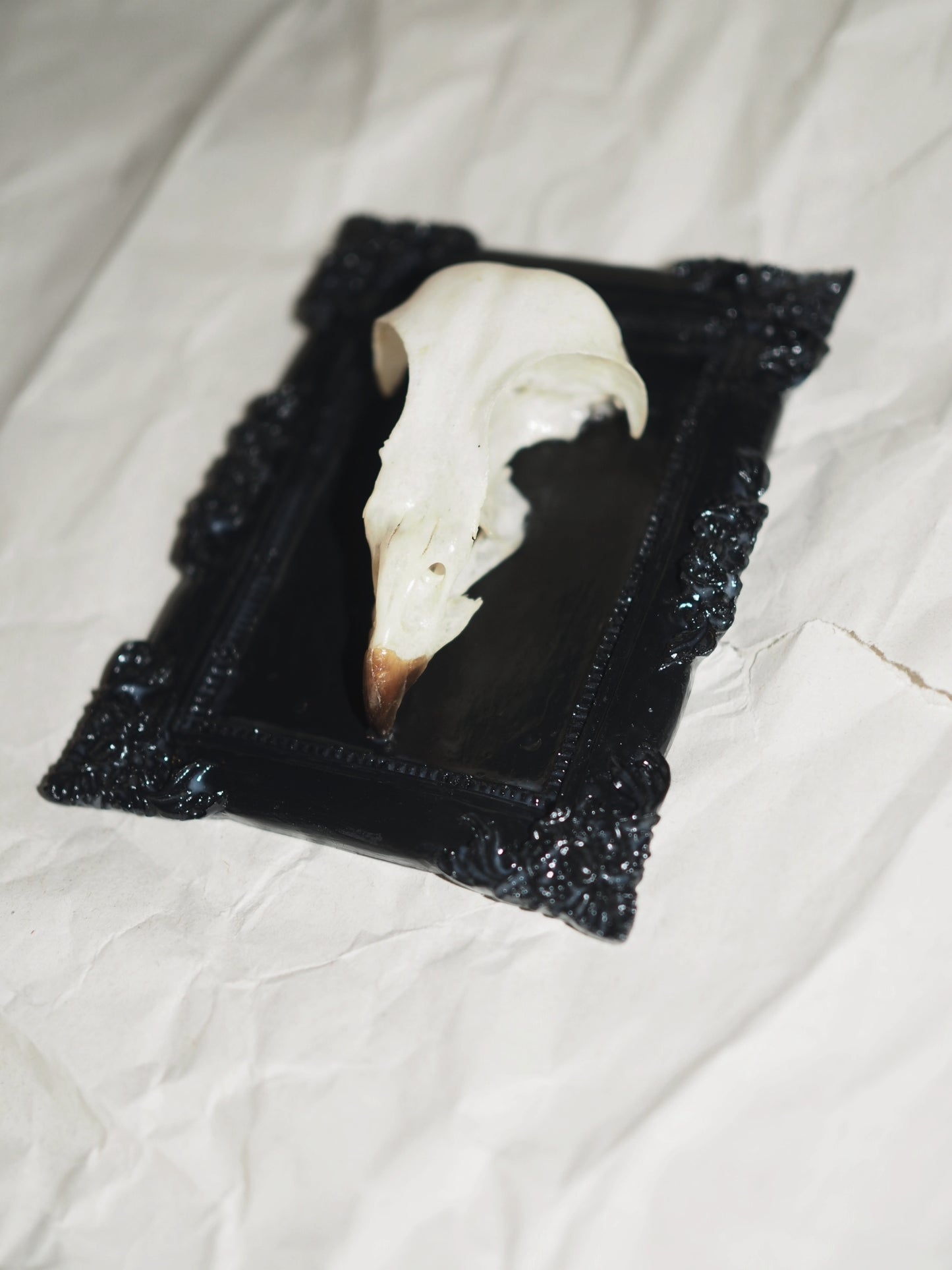 Baroque frame "BIRD"