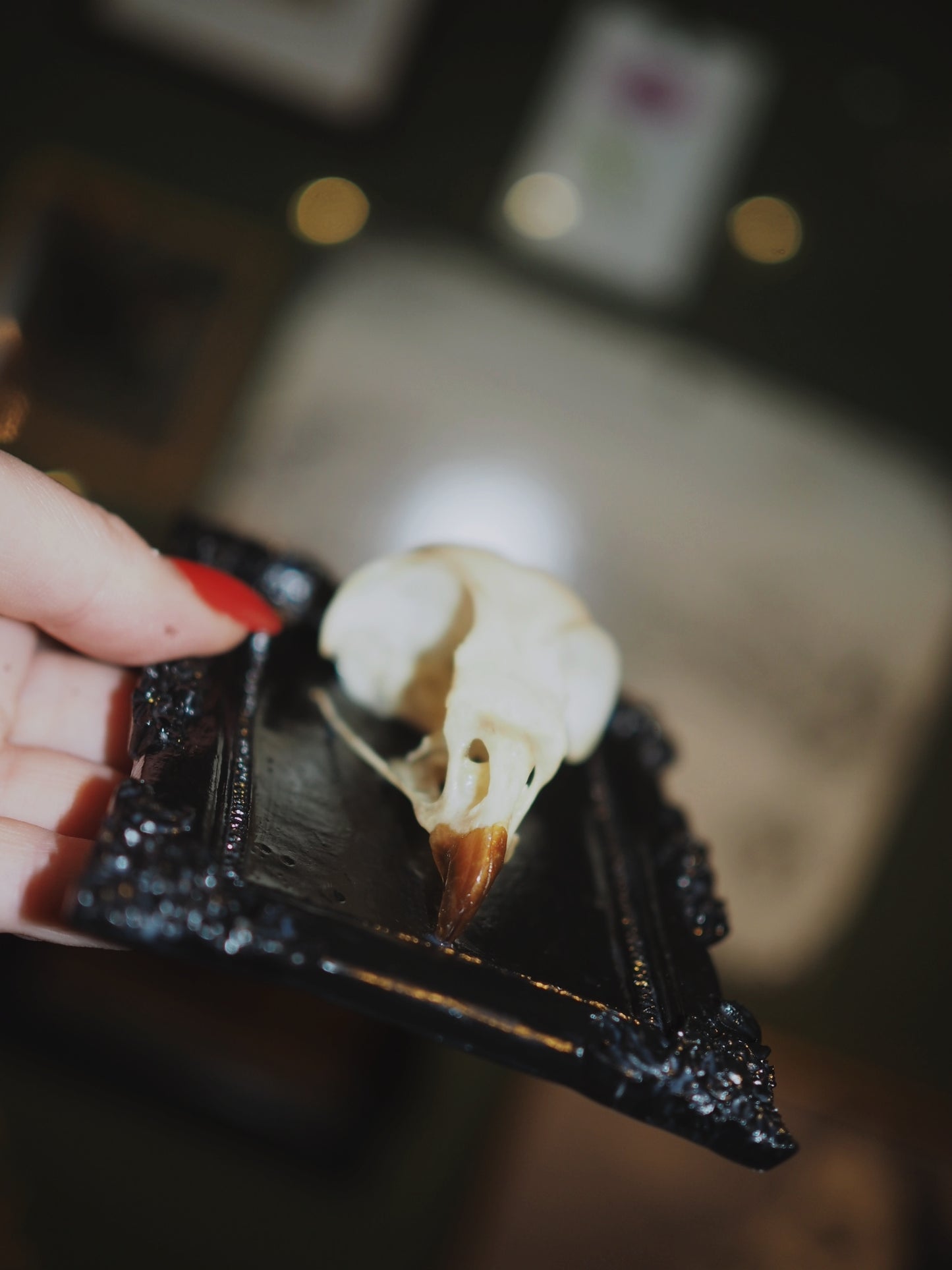 Baroque frame "BIRD"