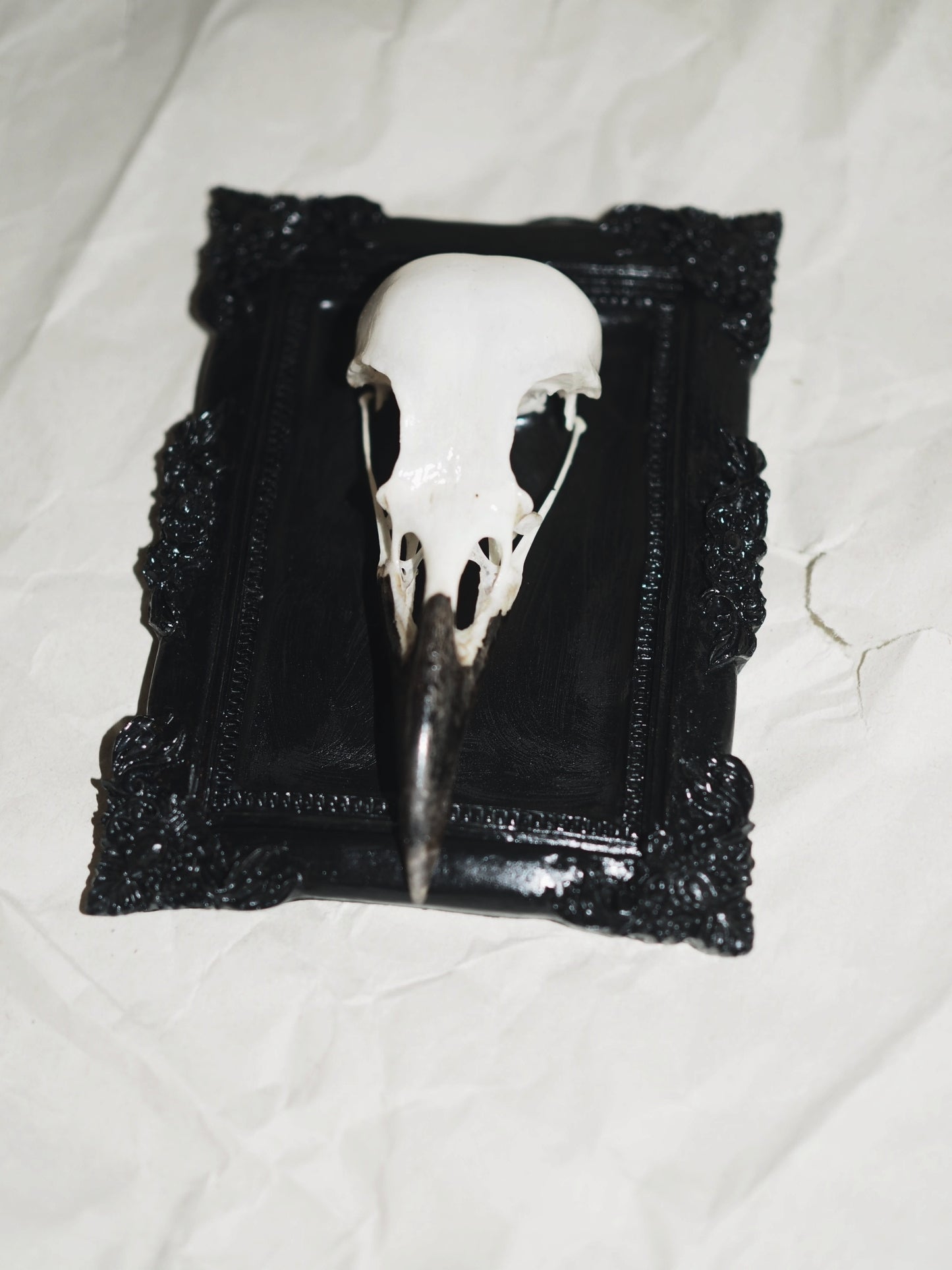 Baroque frame "RAVEN"